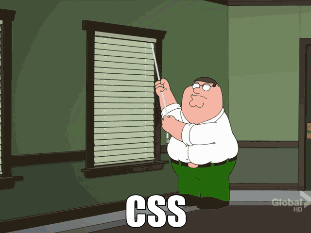 CSS?